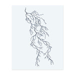 Blitz - Baum INKON DE