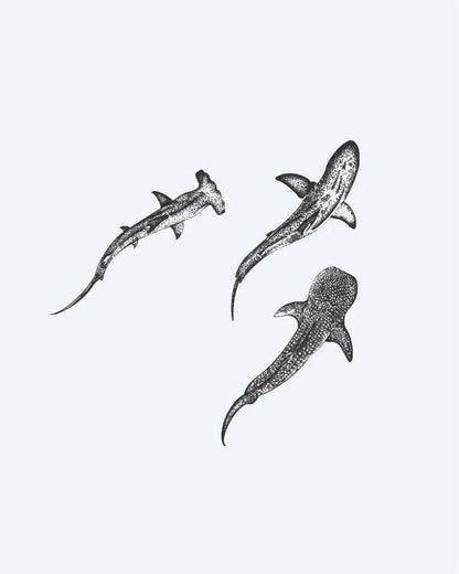 Three Sharks semi-permanent tattoo design by INKON – trio, sharks, dotwork, hammerhead, reef illustration, 4 x 4 in (9x9cm), available at inkon.co