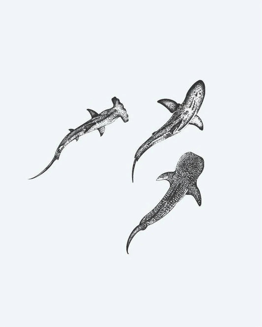 Three Sharks semi-permanent tattoo design by INKON – trio, sharks, dotwork, hammerhead, reef illustration, 4 x 4 in (9x9cm), available at inkon.co
