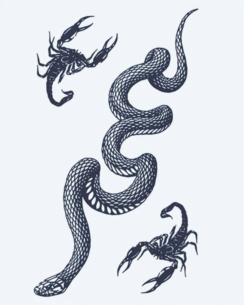 Snake & Scorpions semi-permanent tattoo design by INKON – coiling, snake, scorpions, illustrative, versatile illustration, 4 x 7 in (10x17cm), available at inkon.co