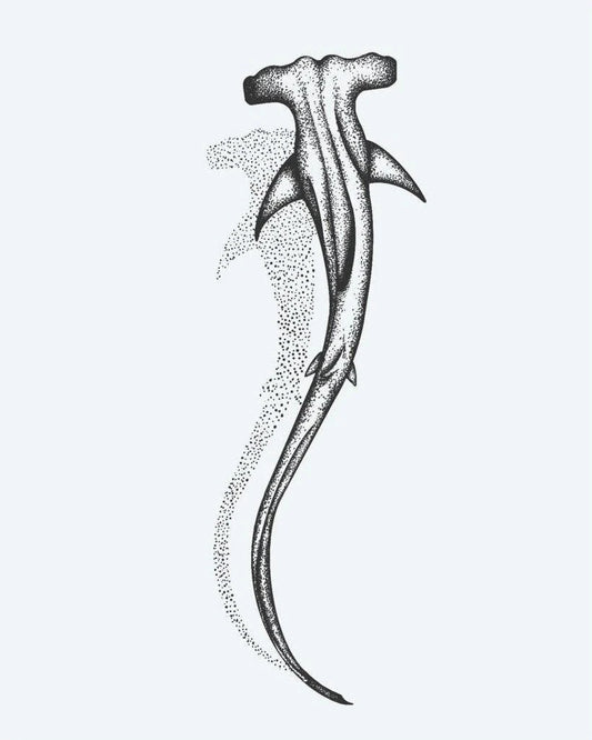 Hammerhead Shark semi-permanent tattoo design by INKON – dotwork, hammerhead, shark, swimming, downward illustration, 3 x 4 in (6x11cm), available at inkon.co