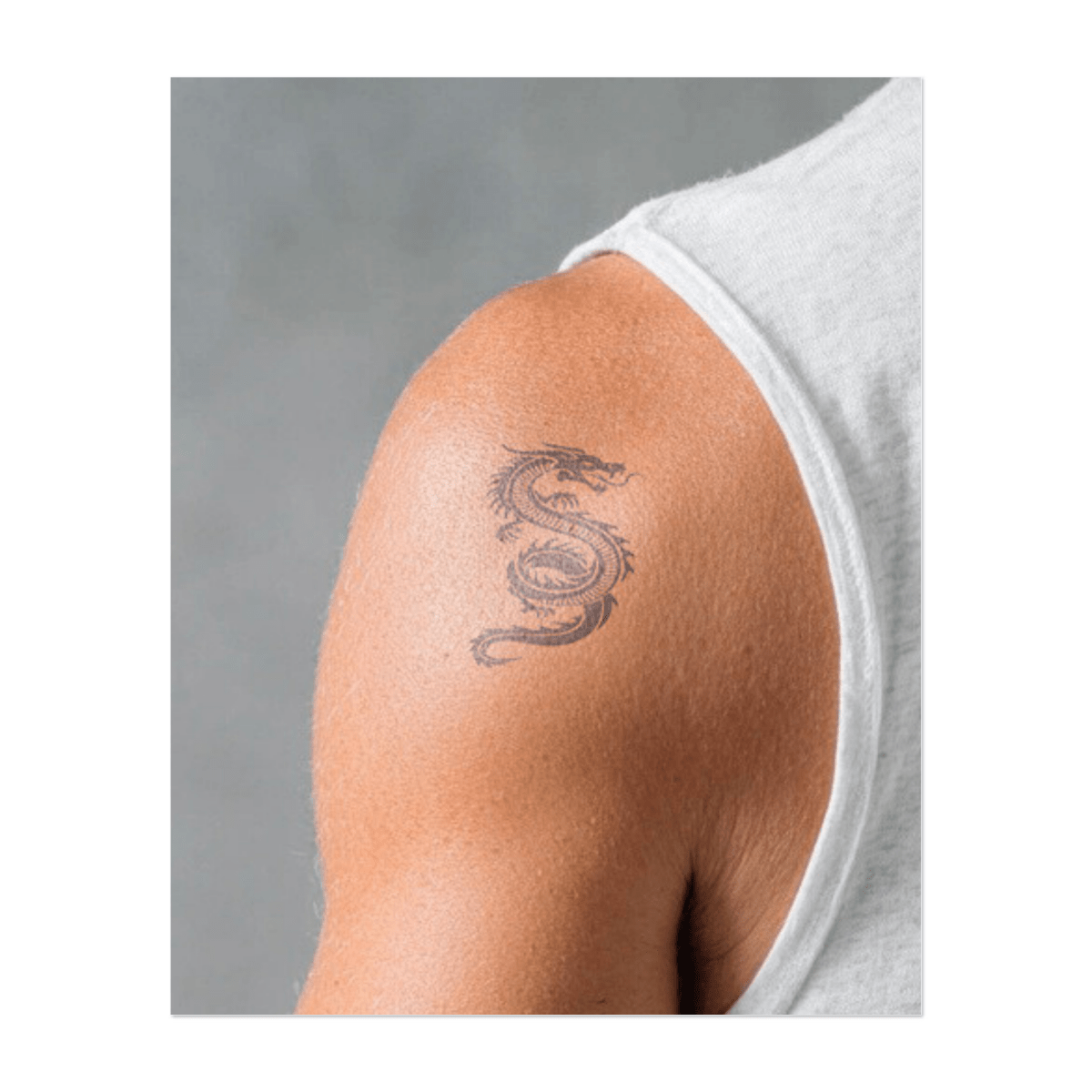 Drache INKON DE
