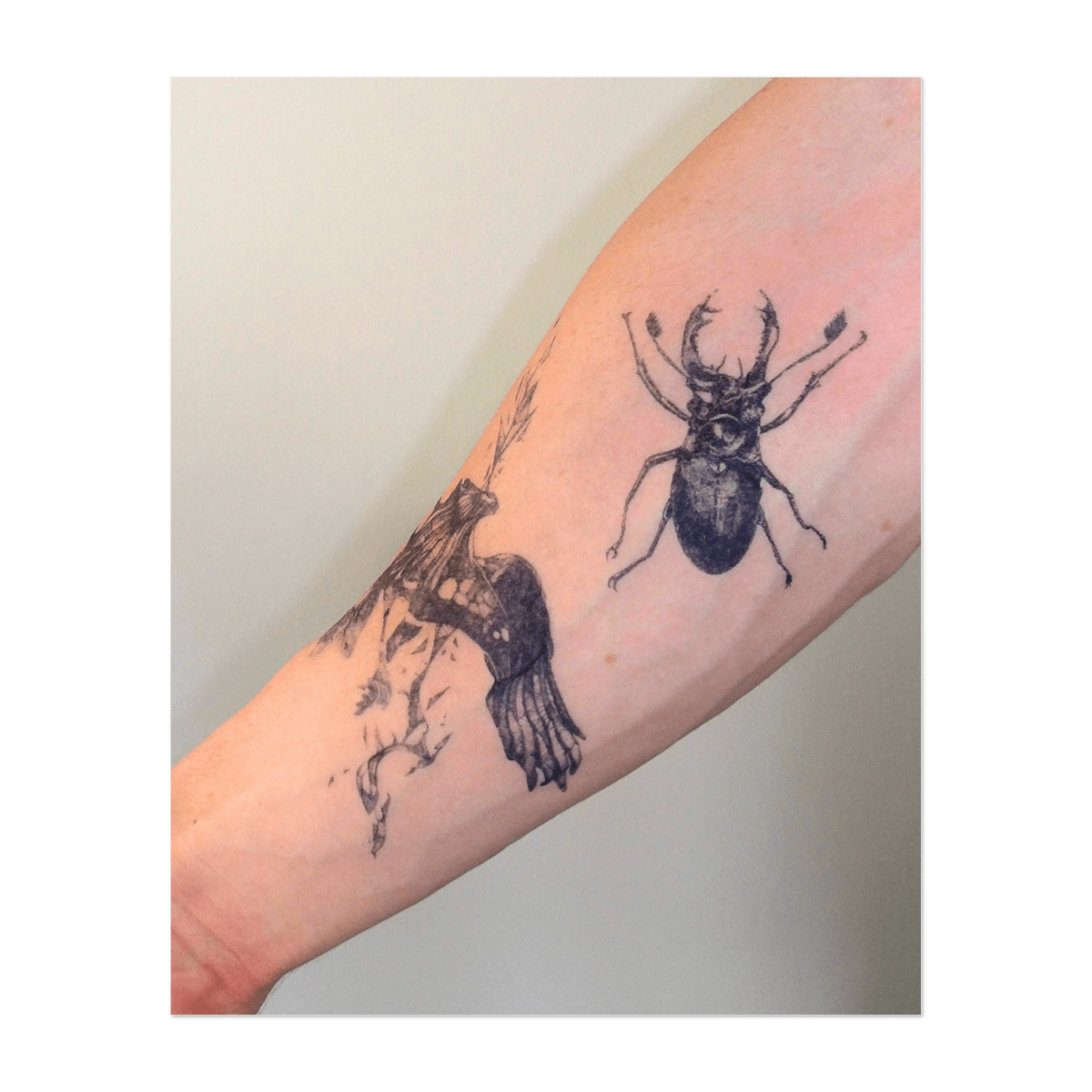 Flug und Wandel INKON DE