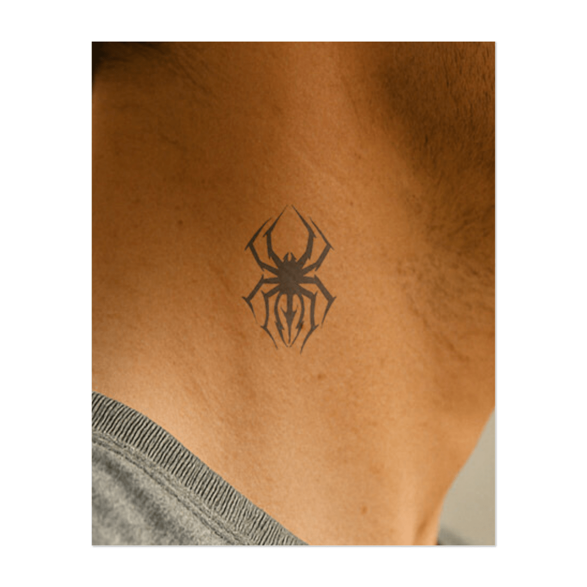 Giftiges Netz INKON DE
