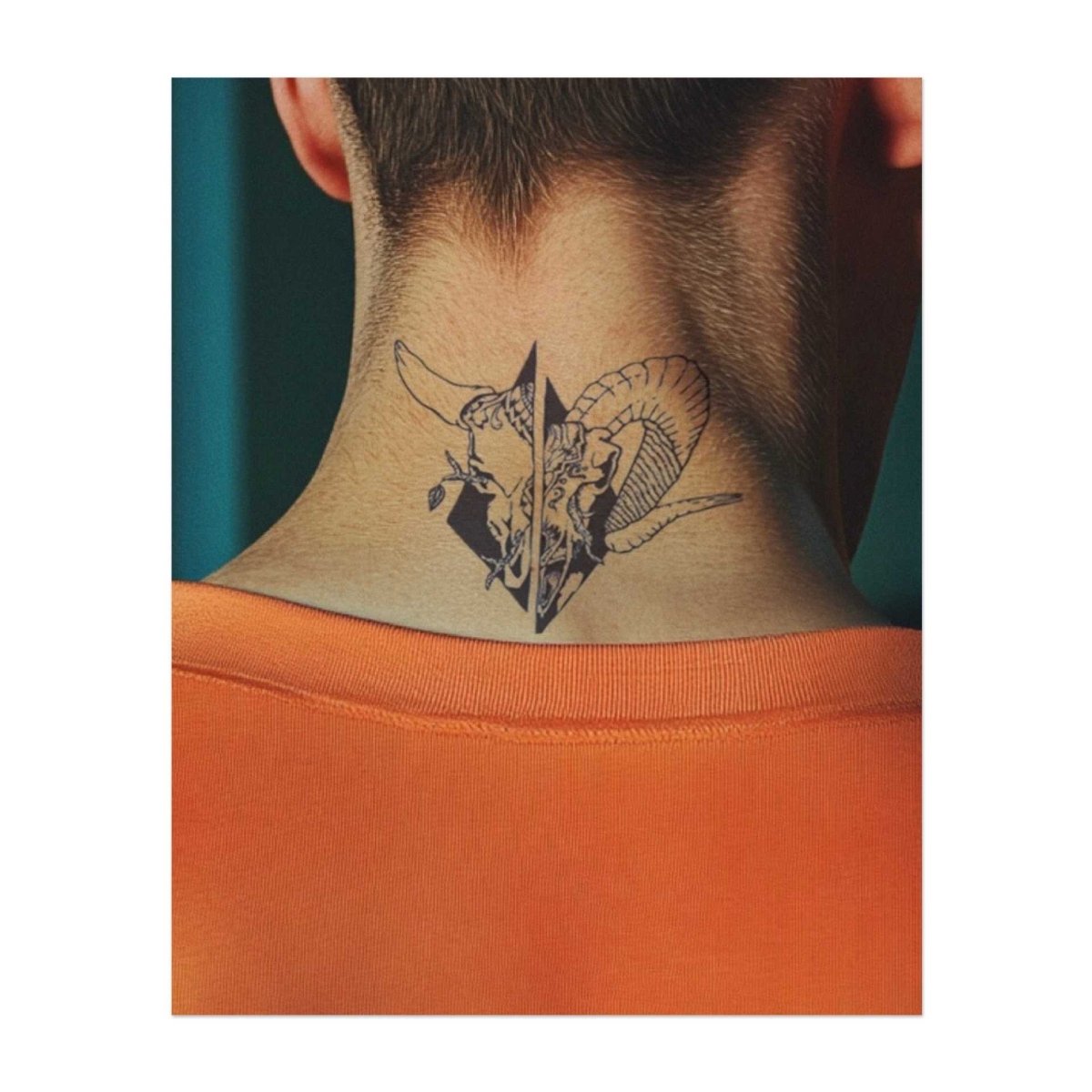 Hörniger Schnitt INKON DE