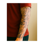Koi Aufstieg INKON DE