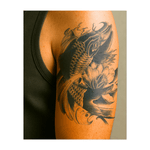 Koi & Lotus INKON DE