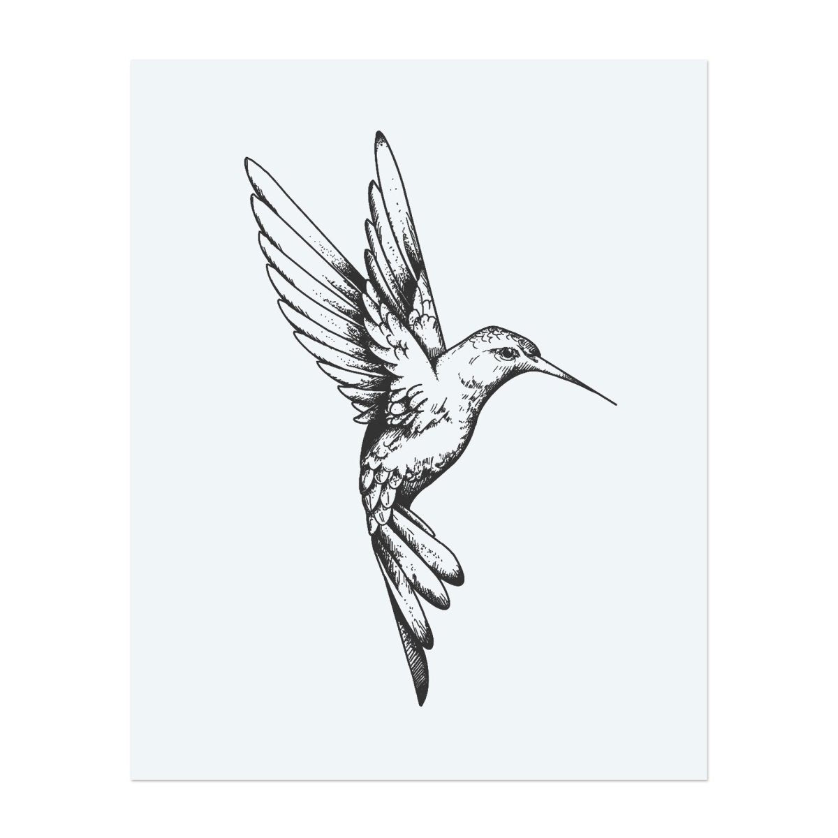 Kolibri in Bewegung INKON DE