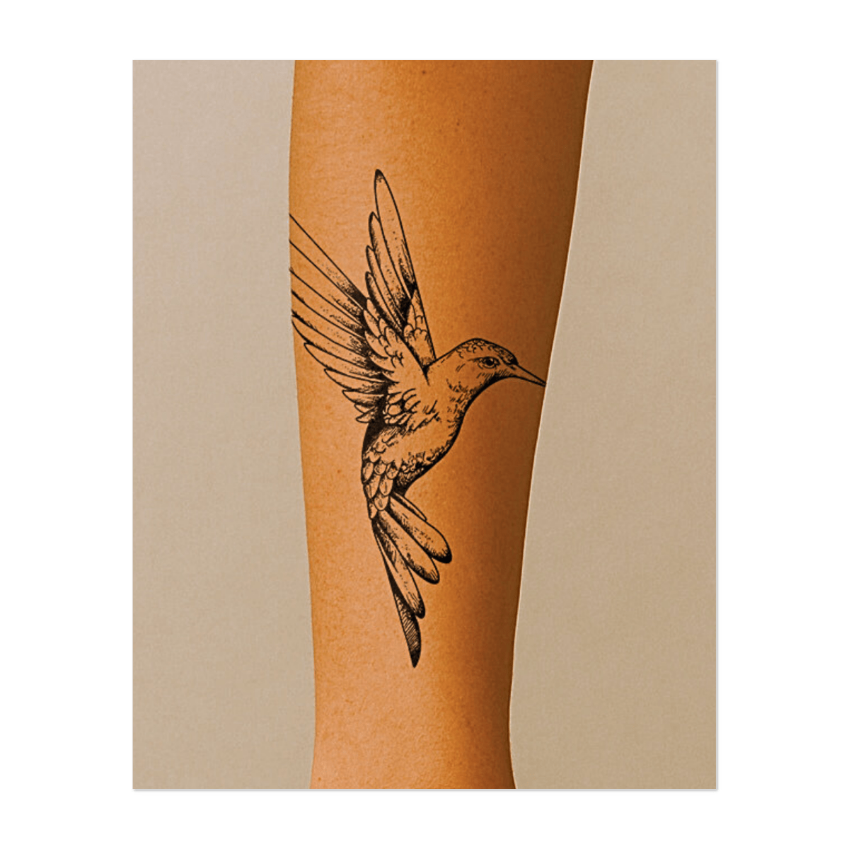 Kolibri in Bewegung INKON DE