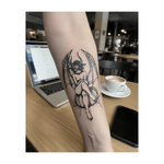 Kürbisfee INKON DE