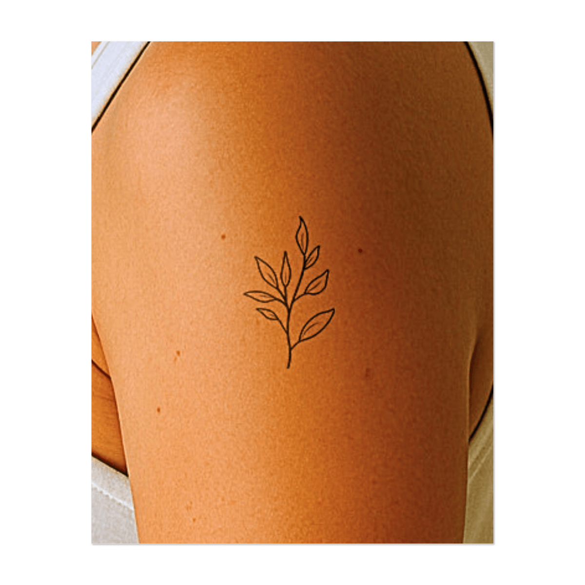 Minimalistisches botanisches Tattoo INKON DE