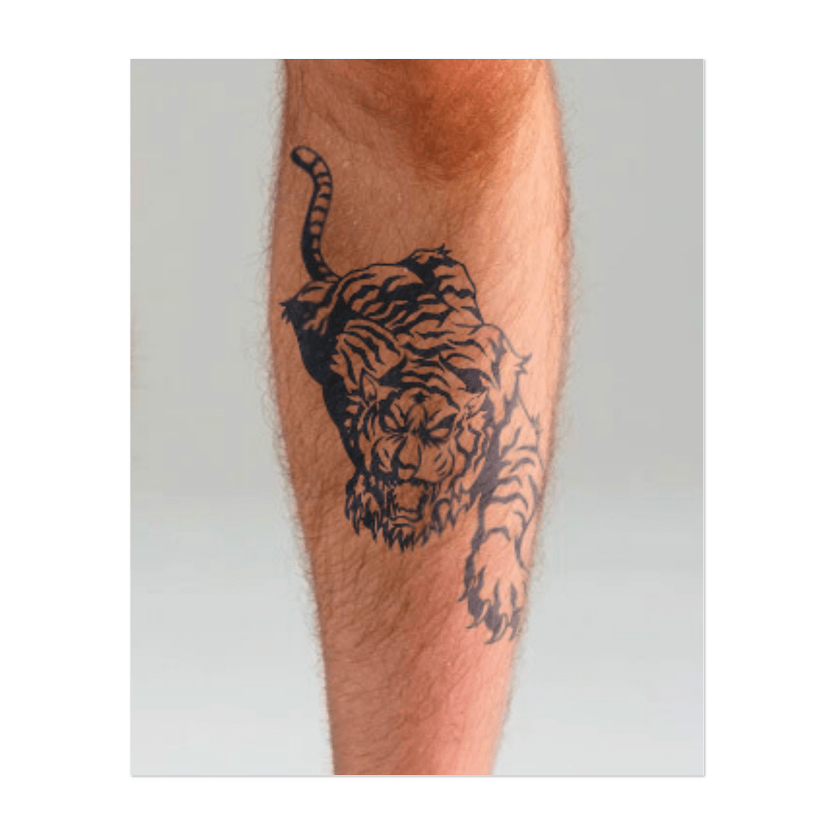 Schleichender Tiger INKON DE