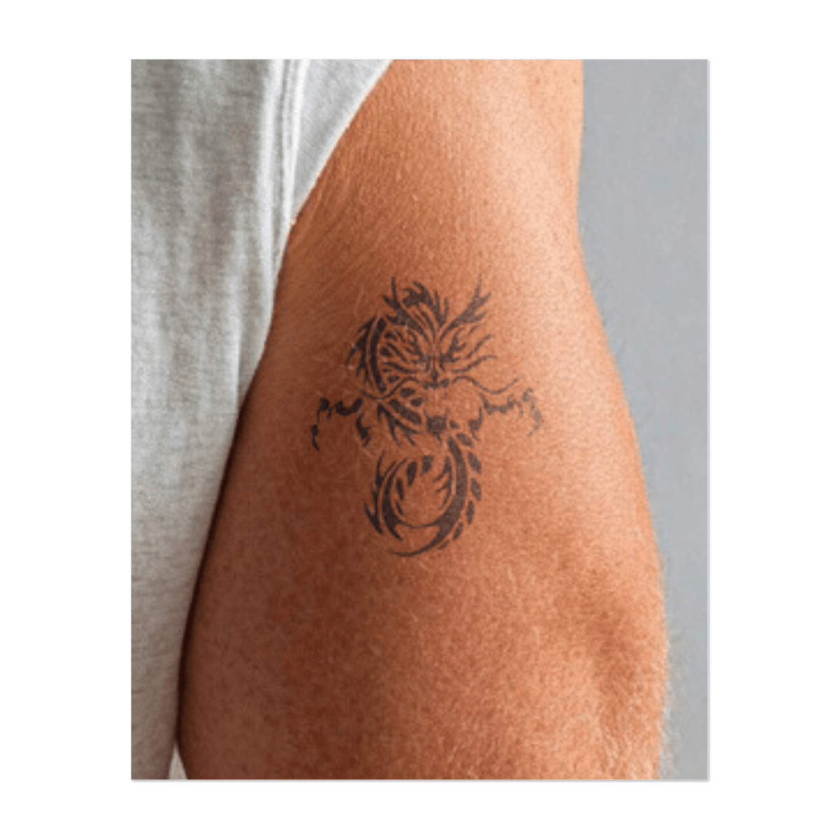 Tribaldrachen INKON DE