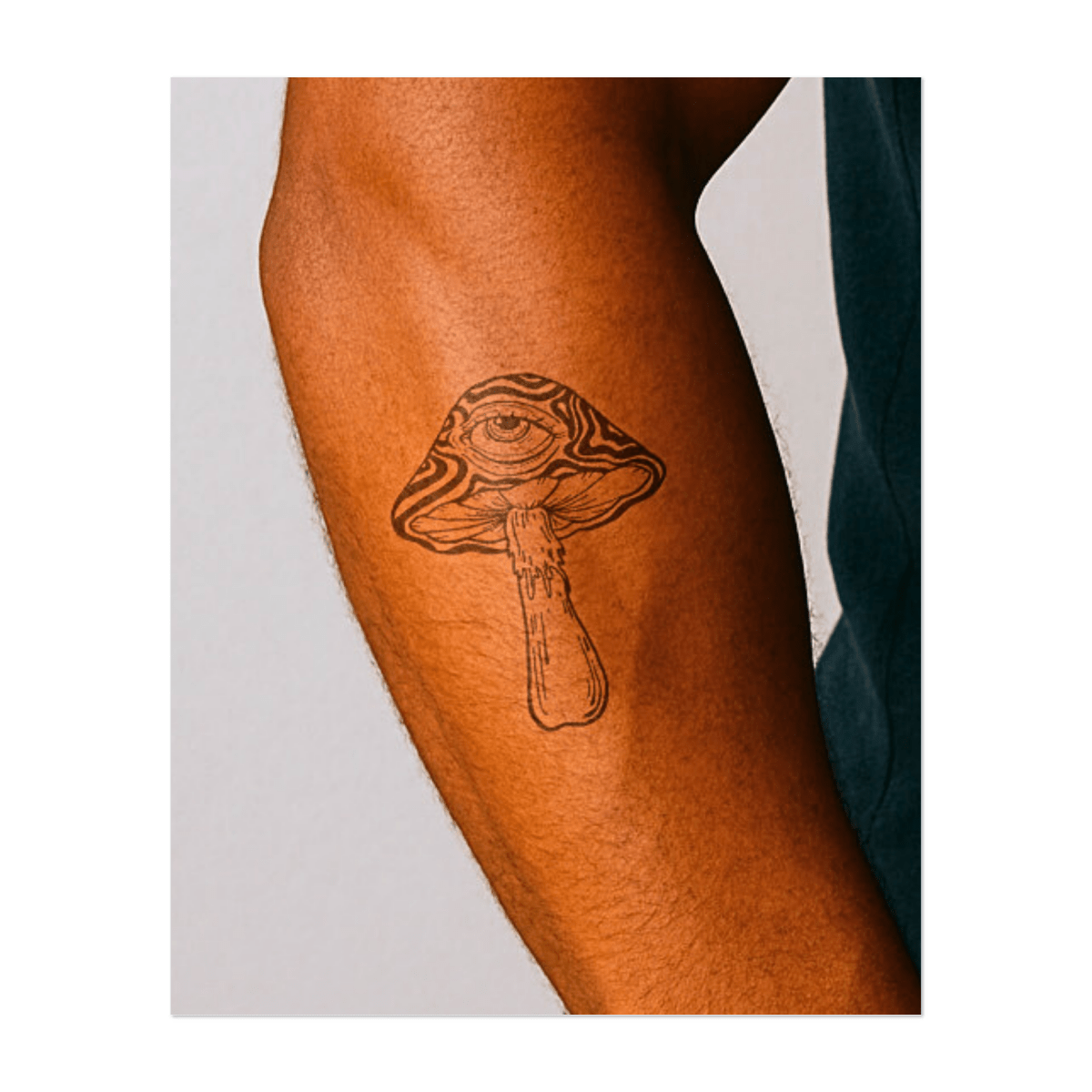 Vision - Pilz INKON DE