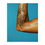 Wilder Hengst INKON DE