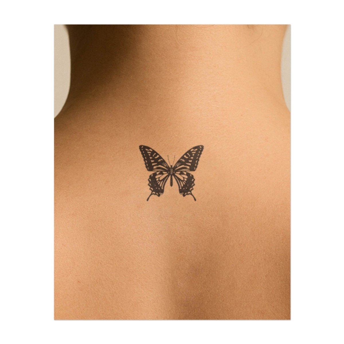 Zarte Flügel INKON DE